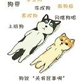 兵之缘402头像