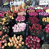 用户6133207571576头像