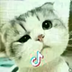 易丑头像