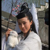 初夏之雨55991809头像