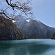 渔夫的旅行头像