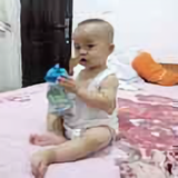 大鱿鱼小鱿鱼头像