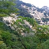 奋斗中的八零后a头像