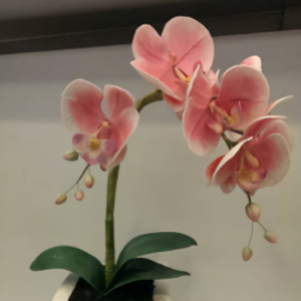 纱O7l6头像