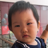 王木木花头像