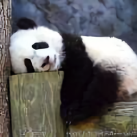 用户92594879951头像