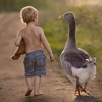 减压生活圈头像