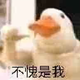 想要个名字1头像