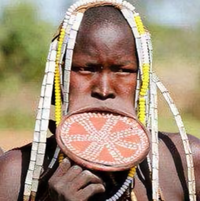 嘻嘻有话说头像