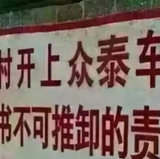 阿兰zyh头像