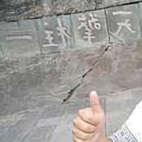 奔跑的蜗牛56008头像