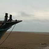 大龙1头像