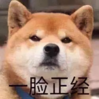 白起8335头像