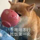 人至皮则NB头像