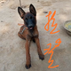 亲切西柚a5头像