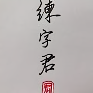 练字君666头像