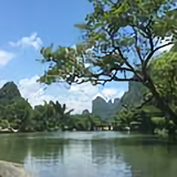 目睹特特头像