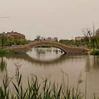 一抔黑土耀红心头像