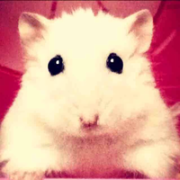 手机用户6500014527头像