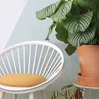 夏日凉风121头像