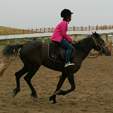 国庆13579237头像