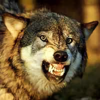 用户5534124759703头像