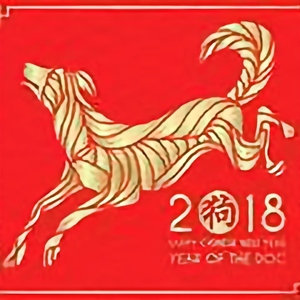 陈佳386头像