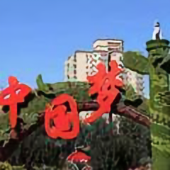 龙行天下254619696头像