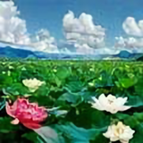一帘幽梦139249107头像