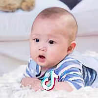 正义凛然的小酒头像