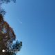 霜染尘烟头像