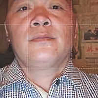 无证农民禹二孤独子头像