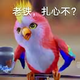 酷酷清风5883头像