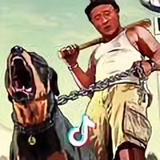 否极泰来🔥头像