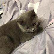 ICU在逃患者的个人资料头像