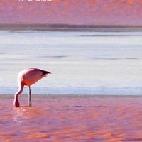 用户3129800565116头像