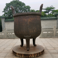 🐺追风头像