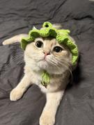 抱走他的小熊的个人资料头像