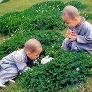 Deogloria的个人资料头像