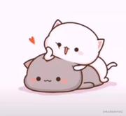 smile点儿的个人资料头像