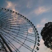 轻松飞翔的个人资料头像