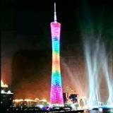 仙鹤头像