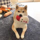 贰阳5头像