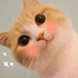 我也不知道头像
