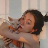 嬛嬛286头像