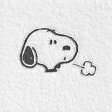 他们说这不是我头像