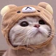 小悲伤的个人资料头像