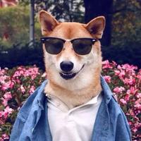 浮生若梦52975头像