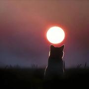 CommonHeart302的个人资料头像