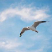 贾明国的个人资料头像